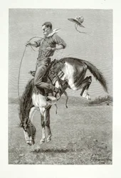 Een rijdende bronco