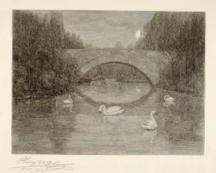 Avond, Zwanenmeer, Central Park, New York