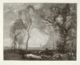 Landschap