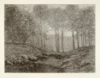 Zomerochtend