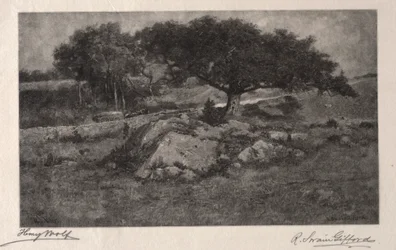 Langs de weg
