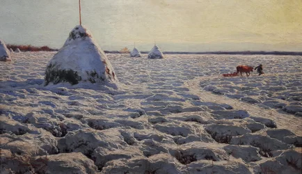 Litouwse moerassen onder sneeuw.