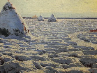 Litouwse moerassen onder sneeuw