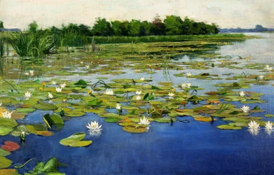 Waterlelies