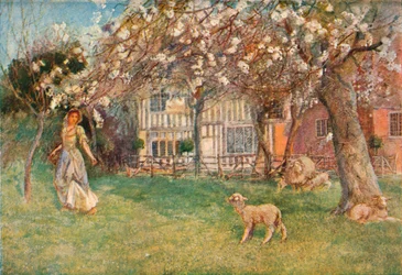 Lammetjes, ca. 1904
