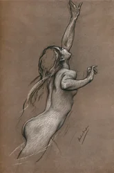 Vliegende vis studie, ca. 1910