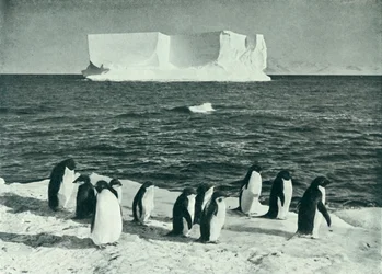 Een ijsberg drijvend in McMurdo Sound, c1910-1913, 1913