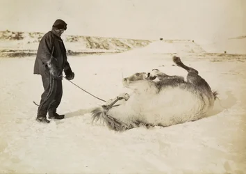 Een man en zijn paard in de sneeuw