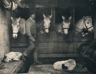Kapitein Oates, op de Terra Nova met de Siberische pony