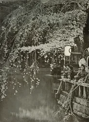 Kersenbloesemtijd in Japan, 1910
