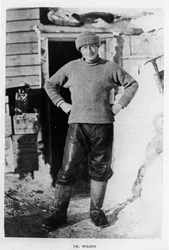 Dokter Wilson, 1911