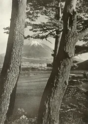 Fuji door de dennen van het Motosu-meer, 1910