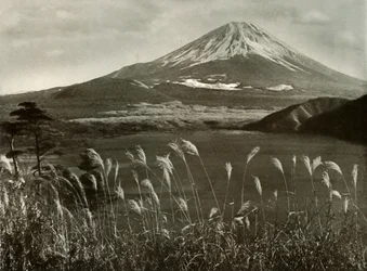Fuji en het Kaia Gras, 1910