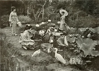 In Lotus-Land, 1910