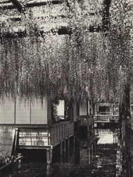 Japan in de jaren 1920: Tokio, Kameido