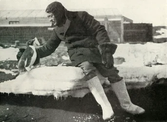 Luitenant Rennick en een Vriendelijke Pinguïn, 1911, 1913