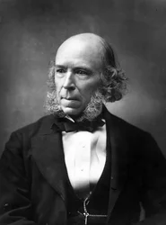 Herbert Spencer, 1888
