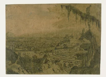Verre uitzicht met een weg en mosrijke takken