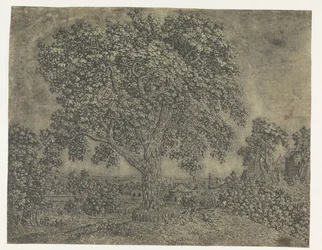 De Grote Boom