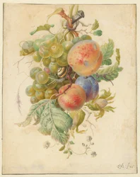 Festoen van vruchten
