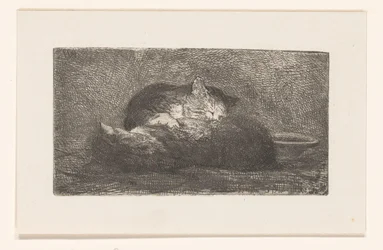 Twee katten
