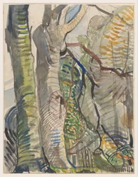 Boslandschap