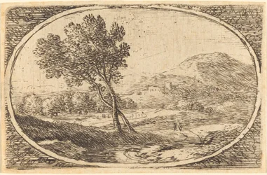 Een Landschap met een Grote Boom