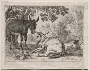 Dieren in landschappen: ezels
