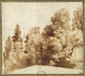 Groep bomen bij een muur