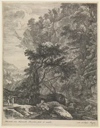 Landschap met bergbeek