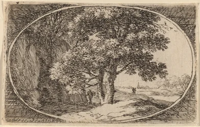 De boom met een dubbele stam