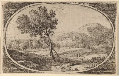 Twee bomen met gekruiste stammen