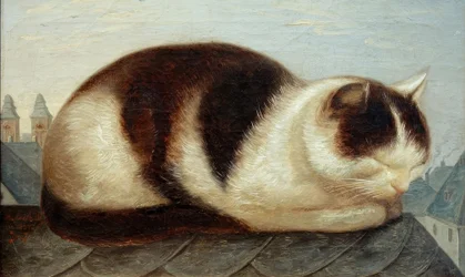 Kat