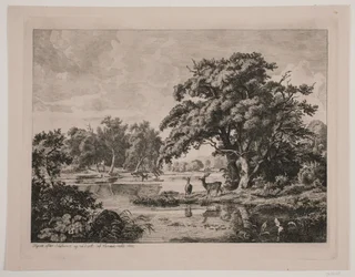 Partij in Hellebæk bos