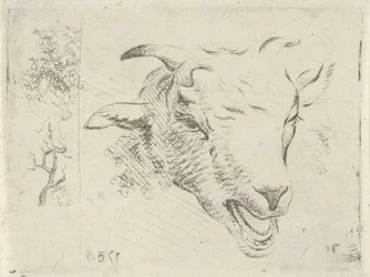 Studieblad met bokkekop