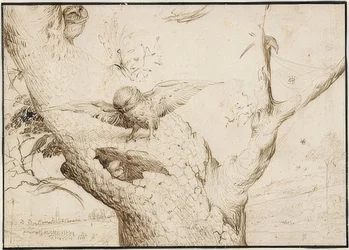 Uilennest. Omstreeks 1505-10