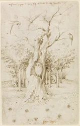 Het Bos Heeft Oren, Het Veld Heeft Ogen door Bosch, Hieronymus (ca. 1450-1516). Pen, bruine Indiase inkt op papier, formaat: 20,2x12,7, ca. 1500-1515, Staatliche Museen, Berlijn