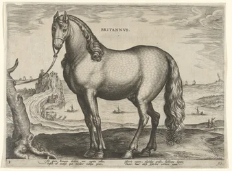 Paard uit Bretagne