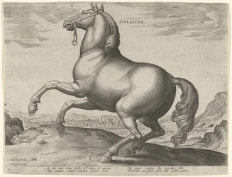 Paard uit Frankrijk