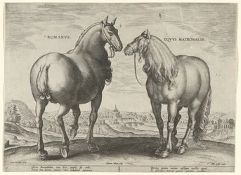 Paard uit Rome en een draagmerrie (Paardenrassen uit de Koninklijke stallen van Don Juan van Oostenrijk)