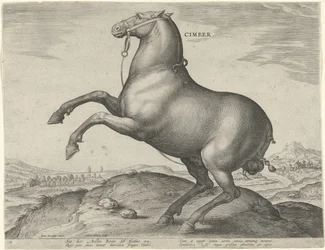 Paard uit Scythië