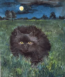 De kat en de maan