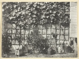 De Treille
