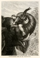 Passepartout helemaal niet bang, uit De Reis om de Wereld in Tachtig Dagen door Jules Verne (1828-1905), 1873