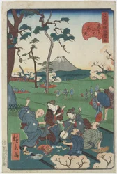 Nr.5, Kersenbloesem kijken op Asuka Hill