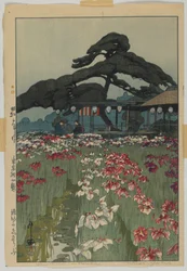 Iristuin in Horikiri, uit de serie, Twaalf scènes van Tokio, Showa tijdperk