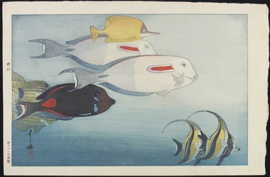 Het Honolulu Aquarium