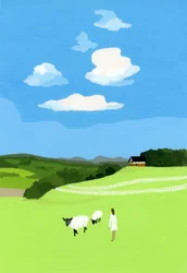 Prairie en schapen