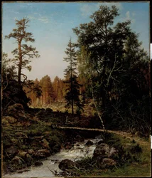 Een boslandschap uit Hauho