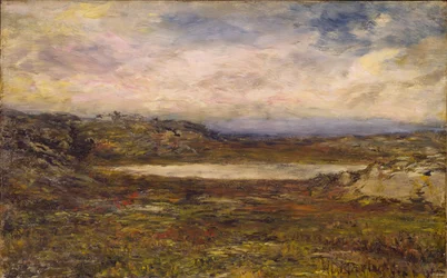 Wilde kust, Newport